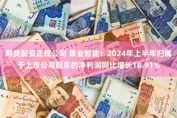 期货配资正规公司 景业智能：2024年上半年归属于上市公司股东的净利润同比增长18.91%