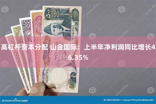 高杠杆资本分配 山金国际：上半年净利润同比增长46.35%