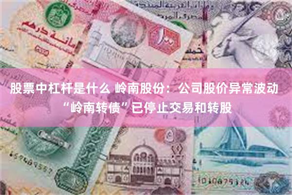 股票中杠杆是什么 岭南股份：公司股价异常波动 “岭南转债”已停止交易和转股