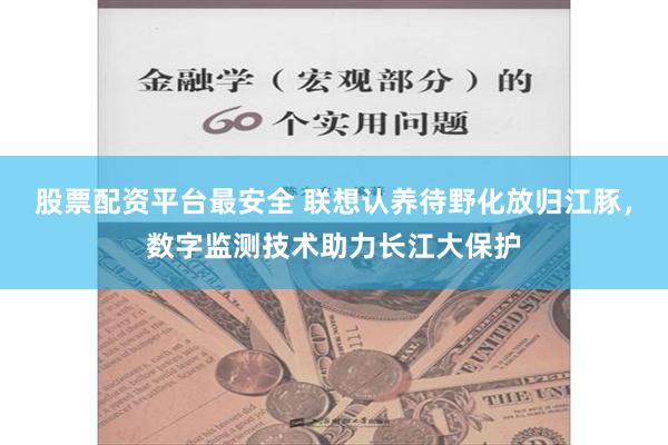 股票配资平台最安全 联想认养待野化放归江豚，数字监测技术助力长江大保护