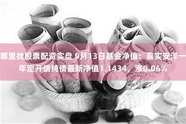 哪里找股票配资实盘 9月13日基金净值：嘉实安泽一年定开债纯债最新净值1.1434，涨0.06%