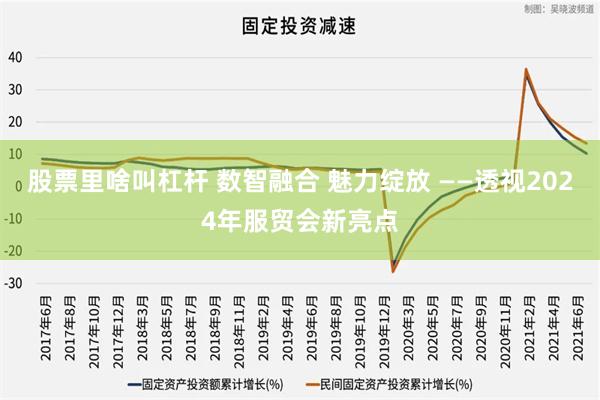 股票里啥叫杠杆 数智融合 魅力绽放 ——透视2024年服贸会新亮点