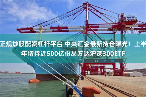 正规炒股配资杠杆平台 中央汇金最新持仓曝光！上半年增持近500亿份易方达沪深300ETF