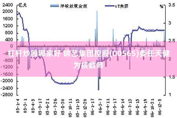 杠杆炒股哪家好 锦艺集团控股(00565)委任天健为核数师