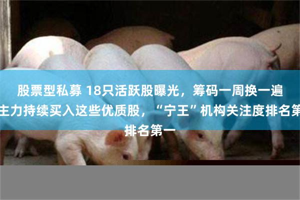 股票型私募 18只活跃股曝光，筹码一周换一遍！主力持续买入这些优质股，“宁王”机构关注度排名第一