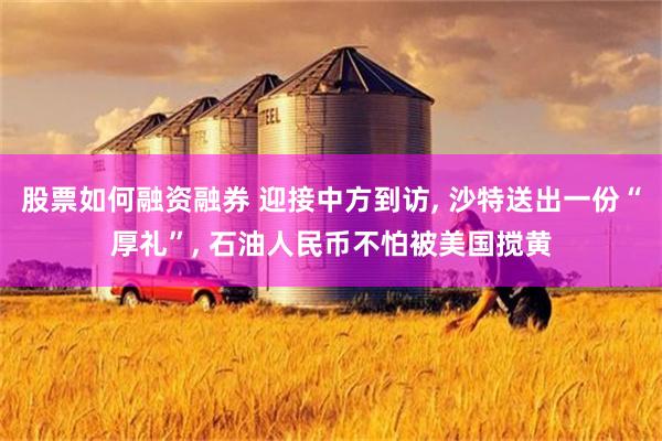 股票如何融资融券 迎接中方到访, 沙特送出一份“厚礼”, 石油人民币不怕被美国搅黄