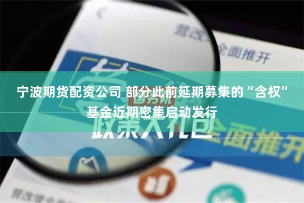 宁波期货配资公司 部分此前延期募集的“含权”基金近期密集启动发行