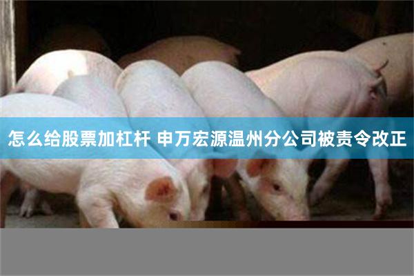 怎么给股票加杠杆 申万宏源温州分公司被责令改正