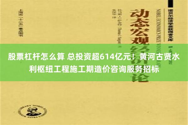 股票杠杆怎么算 总投资超614亿元！黄河古贤水利枢纽工程施工期造价咨询服务招标
