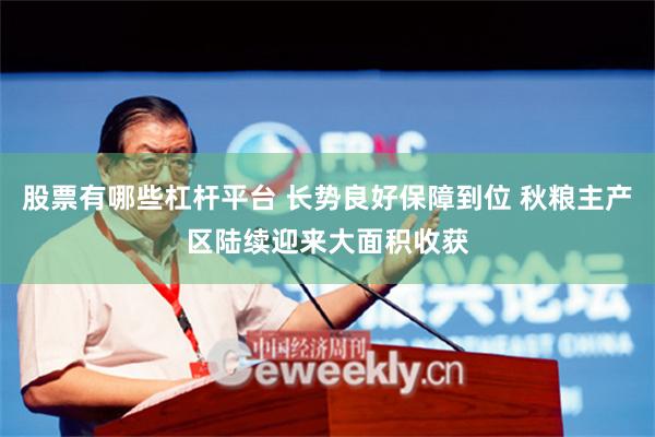 股票有哪些杠杆平台 长势良好保障到位 秋粮主产区陆续迎来大面积收获