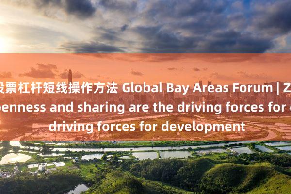 股票杠杆短线操作方法 Global Bay Areas Forum | Zhang Qing: Openness and sharing are the driving forces for development