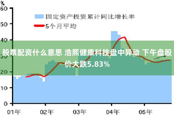 股票配资什么意思 浩熙健康科技盘中异动 下午盘股价大跌5.83%