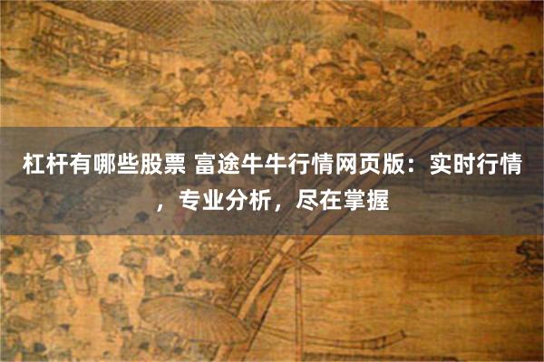 杠杆有哪些股票 富途牛牛行情网页版：实时行情，专业分析，尽在掌握