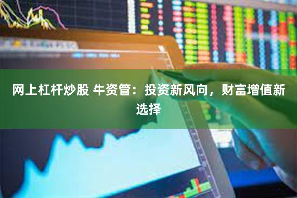 网上杠杆炒股 牛资管：投资新风向，财富增值新选择