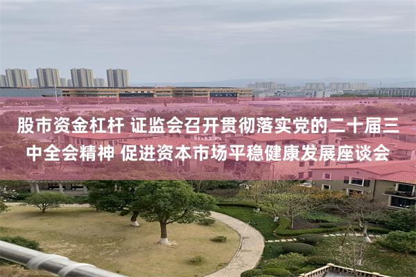 股市资金杠杆 证监会召开贯彻落实党的二十届三中全会精神 促进资本市场平稳健康发展座谈会