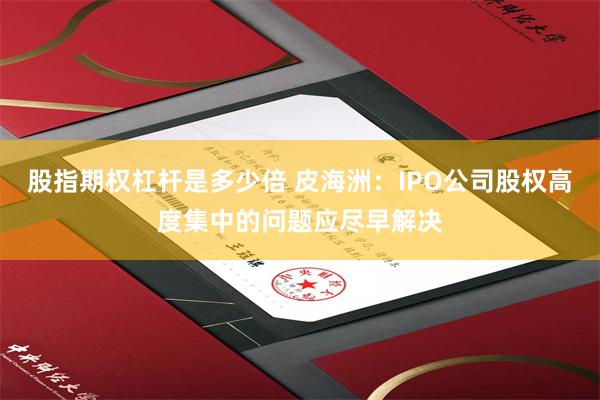 股指期权杠杆是多少倍 皮海洲：IPO公司股权高度集中的问题应尽早解决