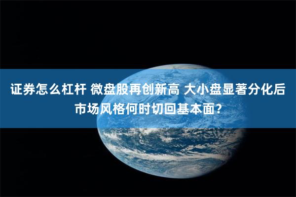 证券怎么杠杆 微盘股再创新高 大小盘显著分化后市场风格何时切回基本面？