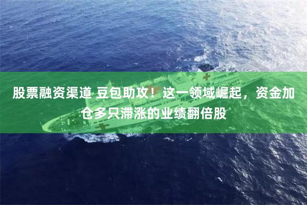 股票融资渠道 豆包助攻！这一领域崛起，资金加仓多只滞涨的业绩翻倍股