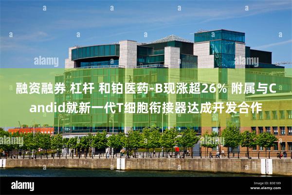 融资融券 杠杆 和铂医药-B现涨超26% 附属与Candid就新一代T细胞衔接器达成开发合作