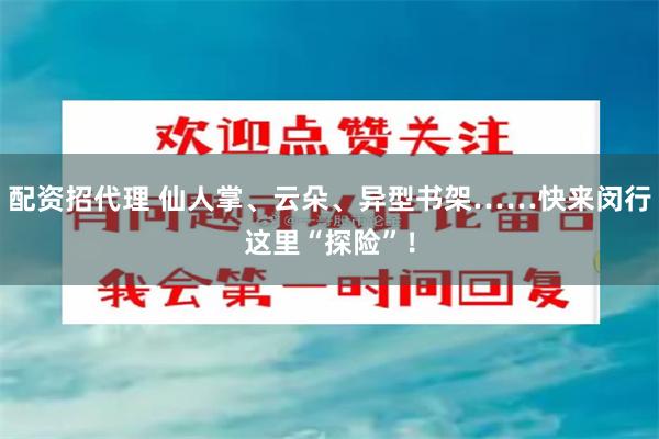 配资招代理 仙人掌、云朵、异型书架……快来闵行这里“探险”！