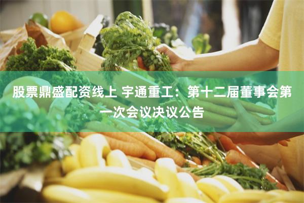 股票鼎盛配资线上 宇通重工：第十二届董事会第一次会议决议公告