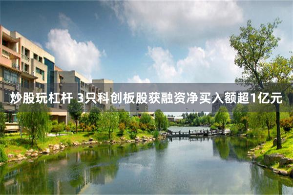 炒股玩杠杆 3只科创板股获融资净买入额超1亿元