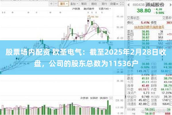 股票场内配资 欧圣电气：截至2025年2月28日收盘，公司的股东总数为11536户