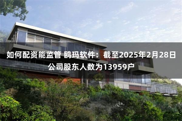 如何配资能监管 鸥玛软件：截至2025年2月28日公司股东人数为13959户