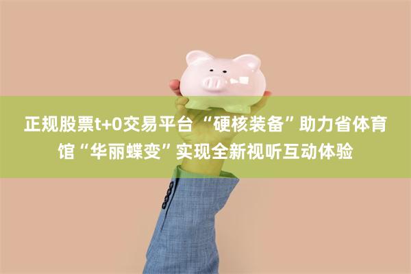 正规股票t+0交易平台 “硬核装备”助力省体育馆“华丽蝶变”实现全新视听互动体验