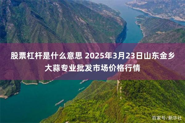 股票杠杆是什么意思 2025年3月23日山东金乡大蒜专业批发市场价格行情