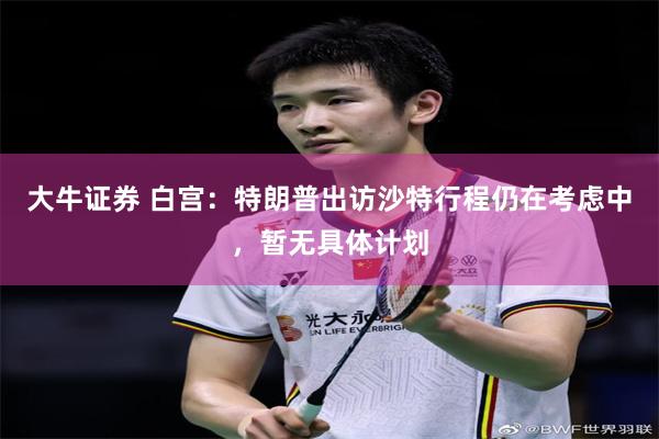 大牛证券 白宫：特朗普出访沙特行程仍在考虑中，暂无具体计划