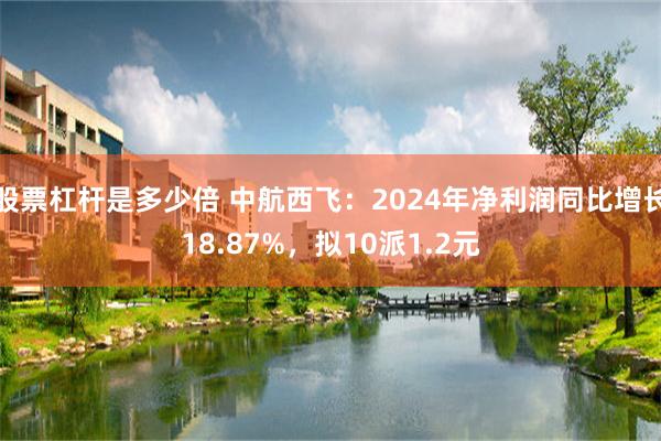 股票杠杆是多少倍 中航西飞：2024年净利润同比增长18.87%，拟10派1.2元