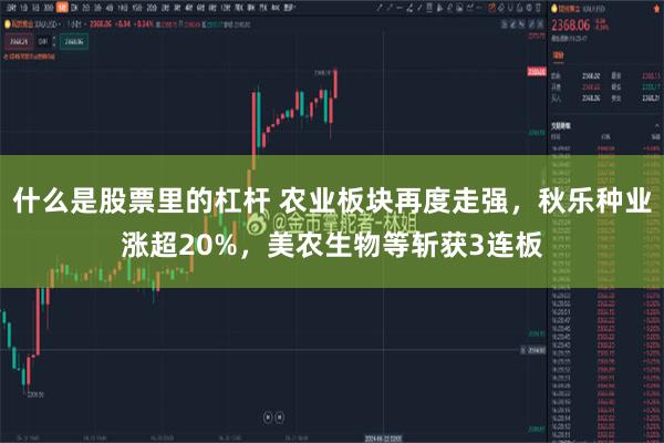 什么是股票里的杠杆 农业板块再度走强，秋乐种业涨超20%，美农生物等斩获3连板