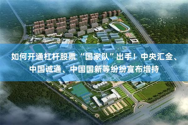 如何开通杠杆股票 “国家队”出手！中央汇金、中国诚通、中国国新等纷纷宣布增持