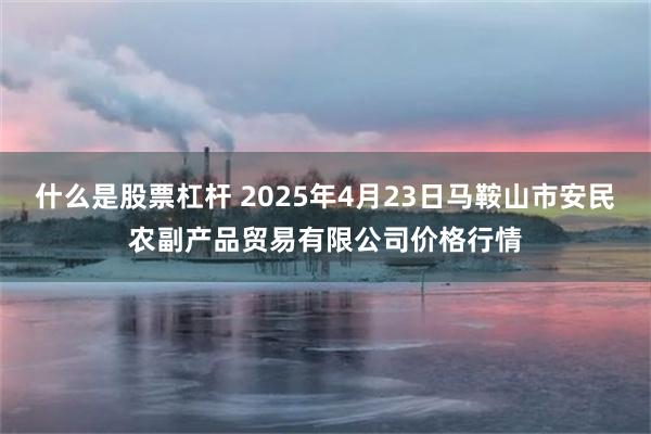 什么是股票杠杆 2025年4月23日马鞍山市安民农副产品贸易有限公司价格行情
