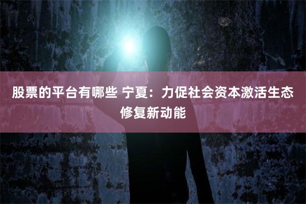 股票的平台有哪些 宁夏：力促社会资本激活生态修复新动能