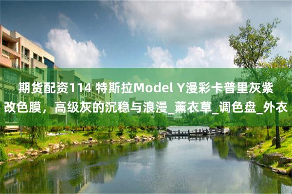 期货配资114 特斯拉Model Y漫彩卡普里灰紫改色膜，高级灰的沉稳与浪漫_薰衣草_调色盘_外衣