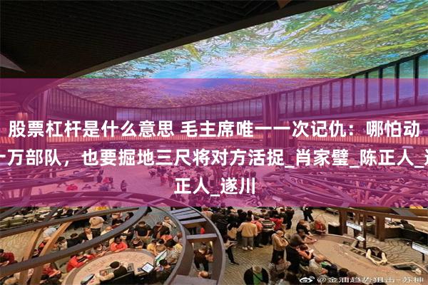 股票杠杆是什么意思 毛主席唯一一次记仇：哪怕动用十万部队，也要掘地三尺将对方活捉_肖家璧_陈正人_遂川