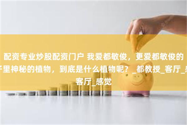配资专业炒股配资门户 我爱都敏俊，更爱都敏俊的房子里神秘的植物，到底是什么植物呢？_都教授_客厅_感觉