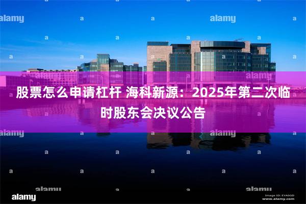 股票怎么申请杠杆 海科新源：2025年第二次临时股东会决议公告