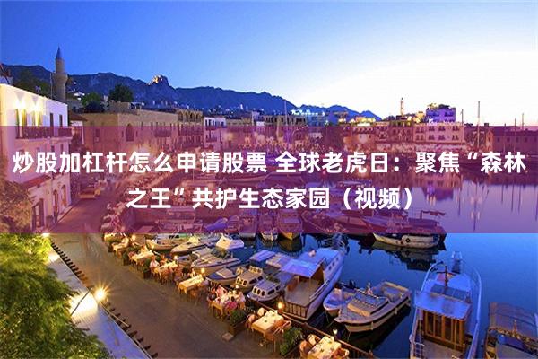 炒股加杠杆怎么申请股票 全球老虎日：聚焦“森林之王”共护生态家园（视频）