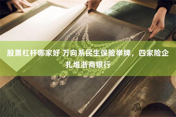 股票杠杆哪家好 万向系民生保险举牌，四家险企扎堆浙商银行