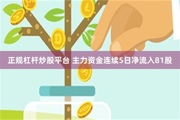 正规杠杆炒股平台 主力资金连续5日净流入81股