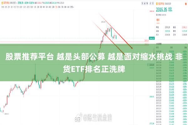 股票推荐平台 越是头部公募 越是面对缩水挑战 非货ETF排名正洗牌