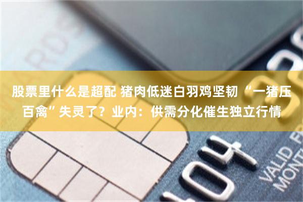 股票里什么是超配 猪肉低迷白羽鸡坚韧 “一猪压百禽”失灵了？业内：供需分化催生独立行情