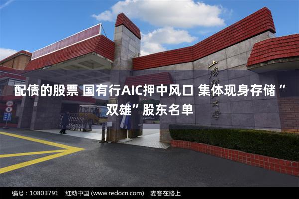 配债的股票 国有行AIC押中风口 集体现身存储“双雄”股东名单