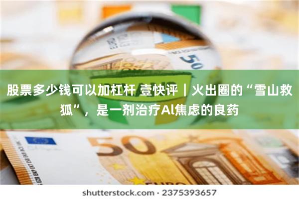 股票多少钱可以加杠杆 壹快评｜火出圈的“雪山救狐”，是一剂治疗Al焦虑的良药