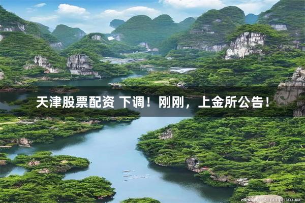 天津股票配资 下调！刚刚，上金所公告！