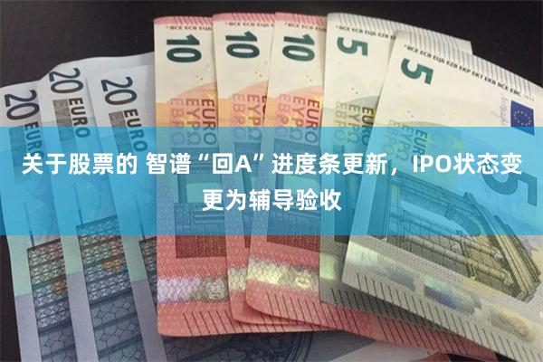 关于股票的 智谱“回A”进度条更新，IPO状态变更为辅导验收