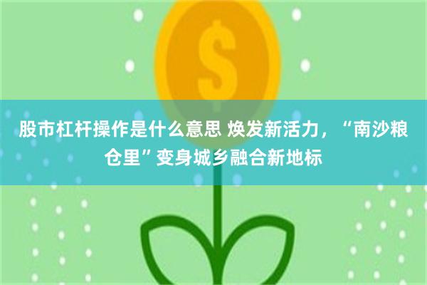 股市杠杆操作是什么意思 焕发新活力，“南沙粮仓里”变身城乡融合新地标